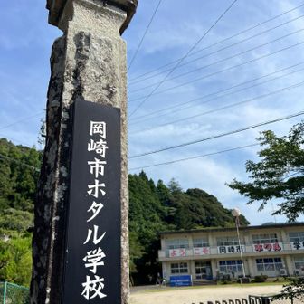 蛍見れるのかな？