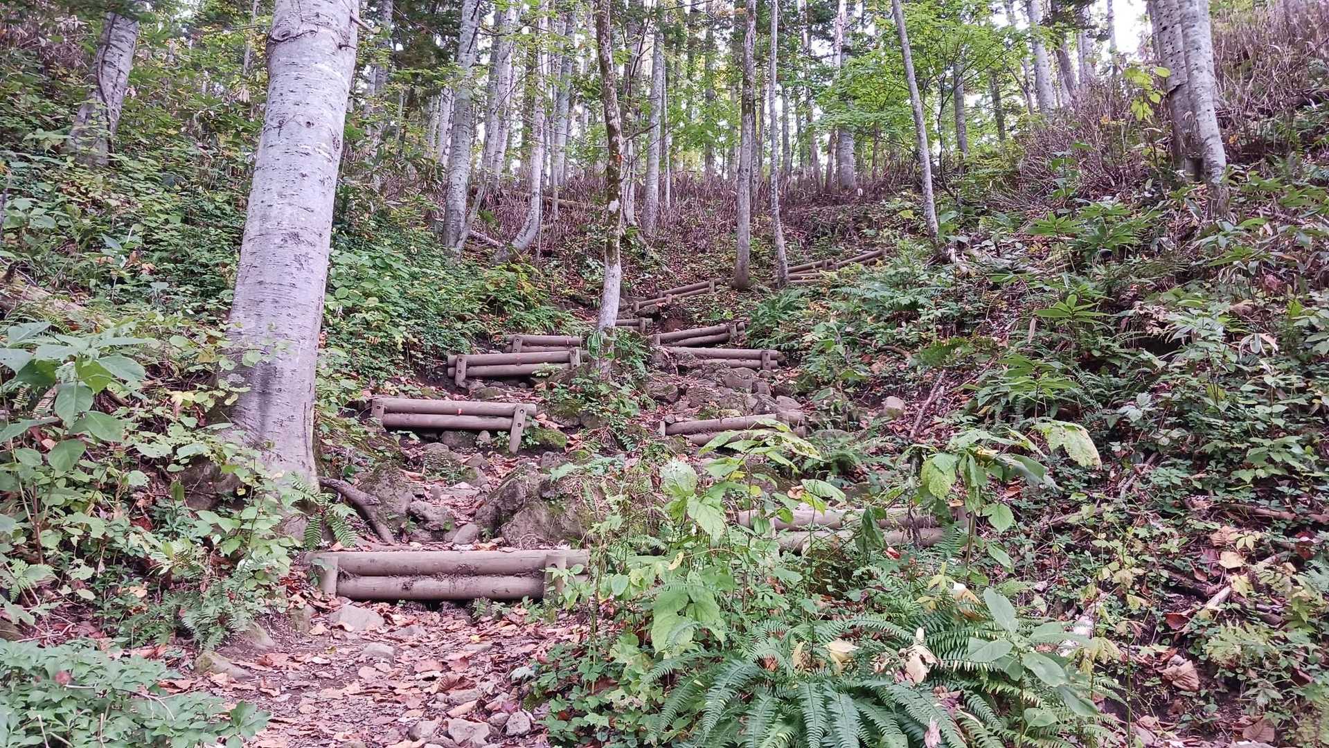 階段😱😱😱この段差キツかったです。