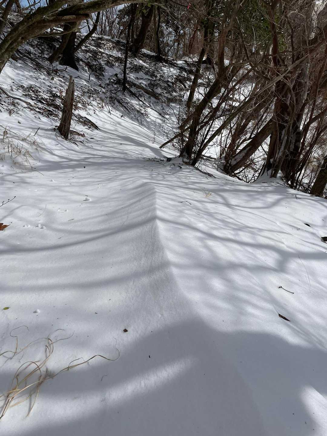 大幡前山 周回コースの写真
