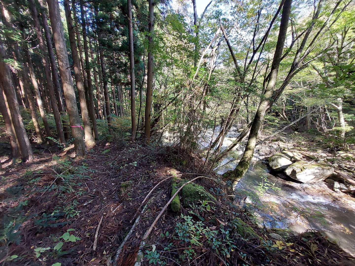 川沿いに出た、