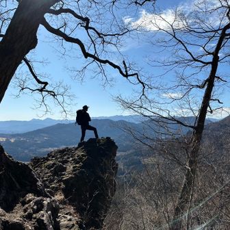 トンボ