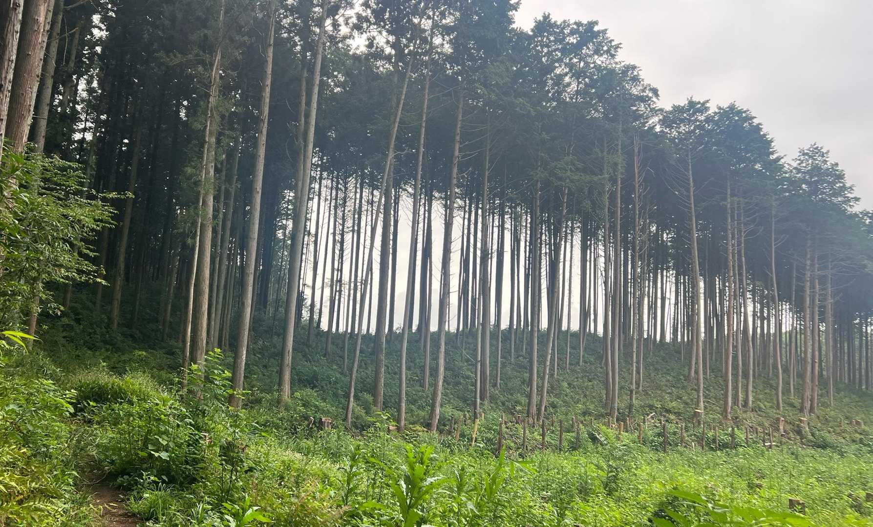 無事下山🙌