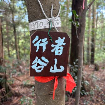 グレーピークの行者谷山🩶🧘⛰️