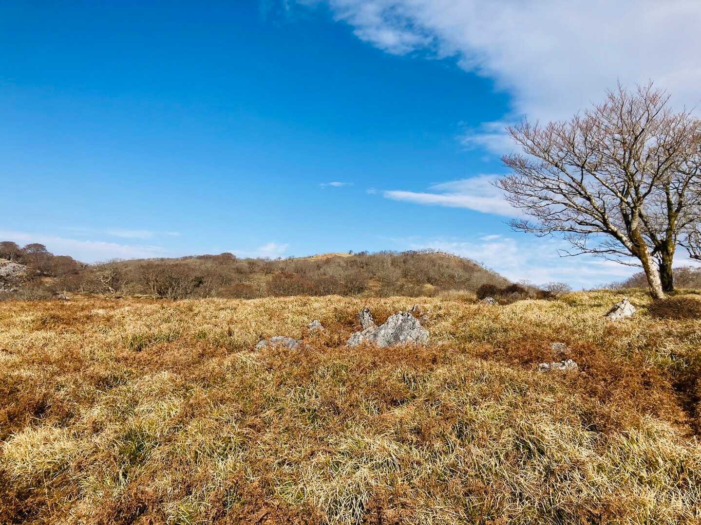 御池岳の写真