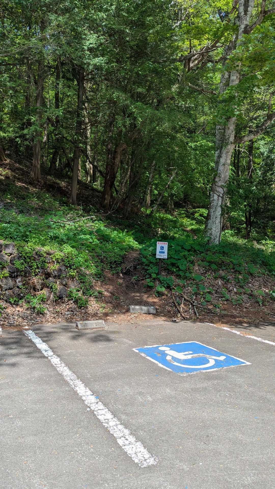 少し登って図書館の駐車場からスタート👣