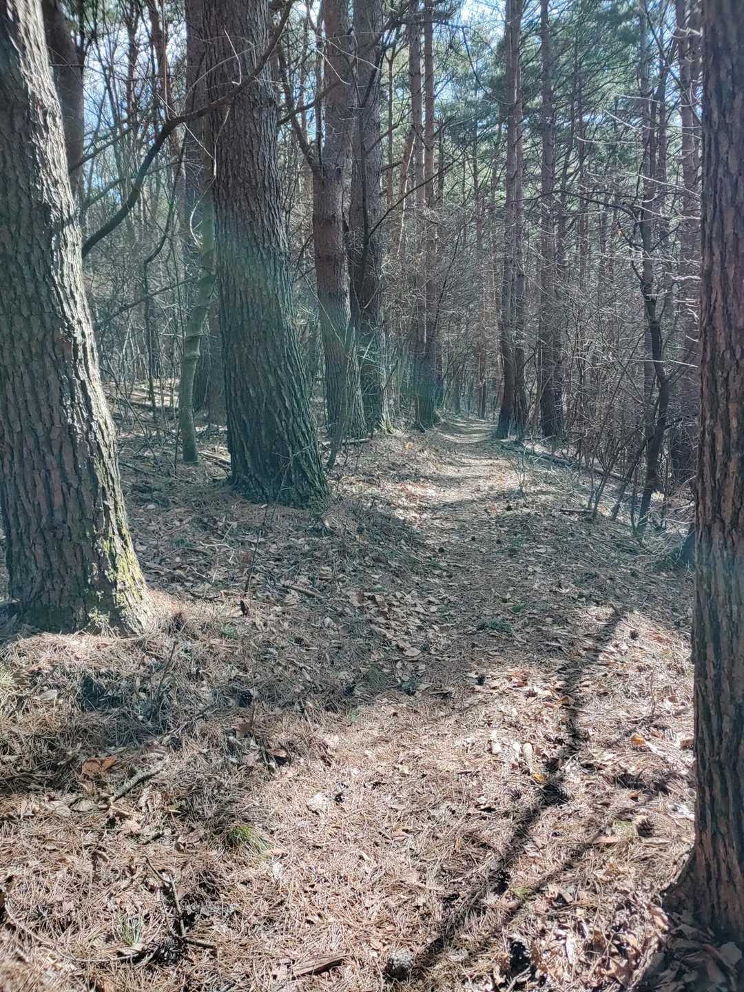 気持ちの良い道です😃