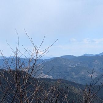 富士山🗻　木が---