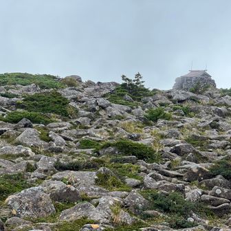 この景色は覚えてた、懐かしい🤩