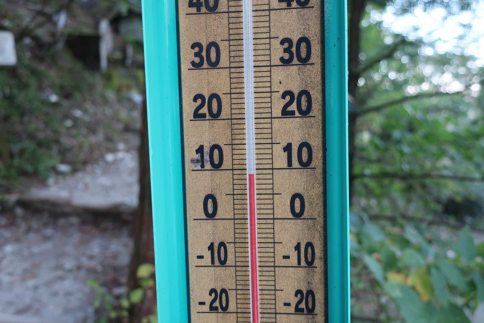 気温9℃。ちょっとひんやり。