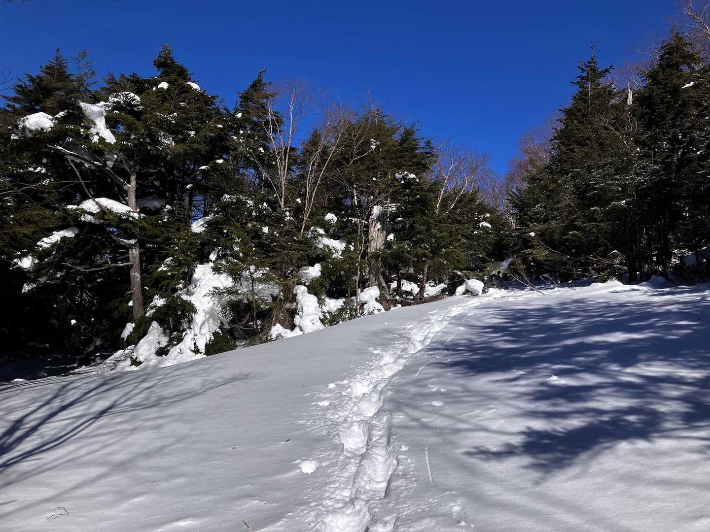 青空が唯一のエネルギー。