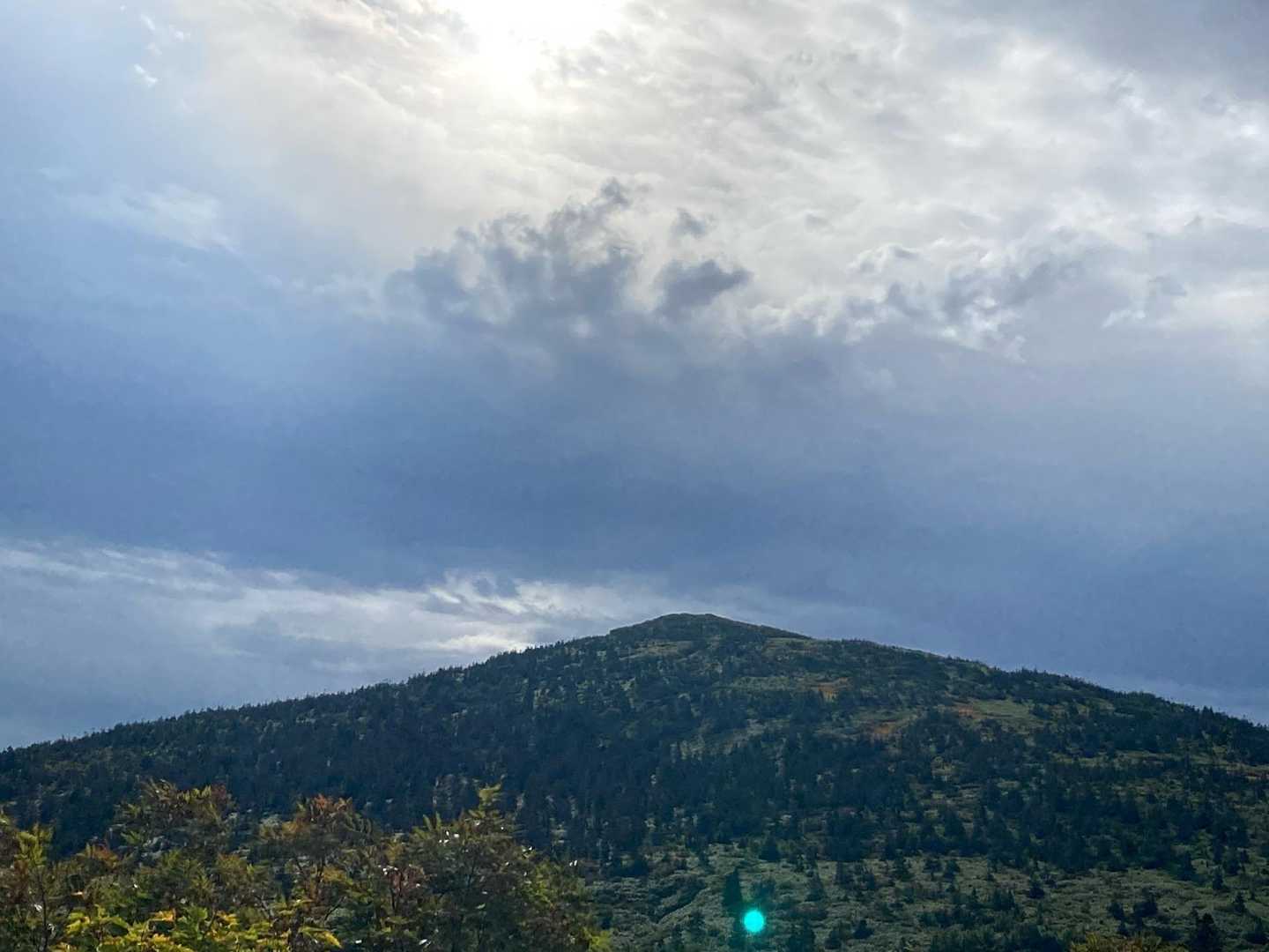 若干紅葉
写真じゃ伝わらない💦