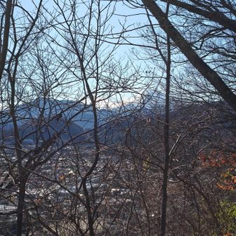 木々の隙間に富士山