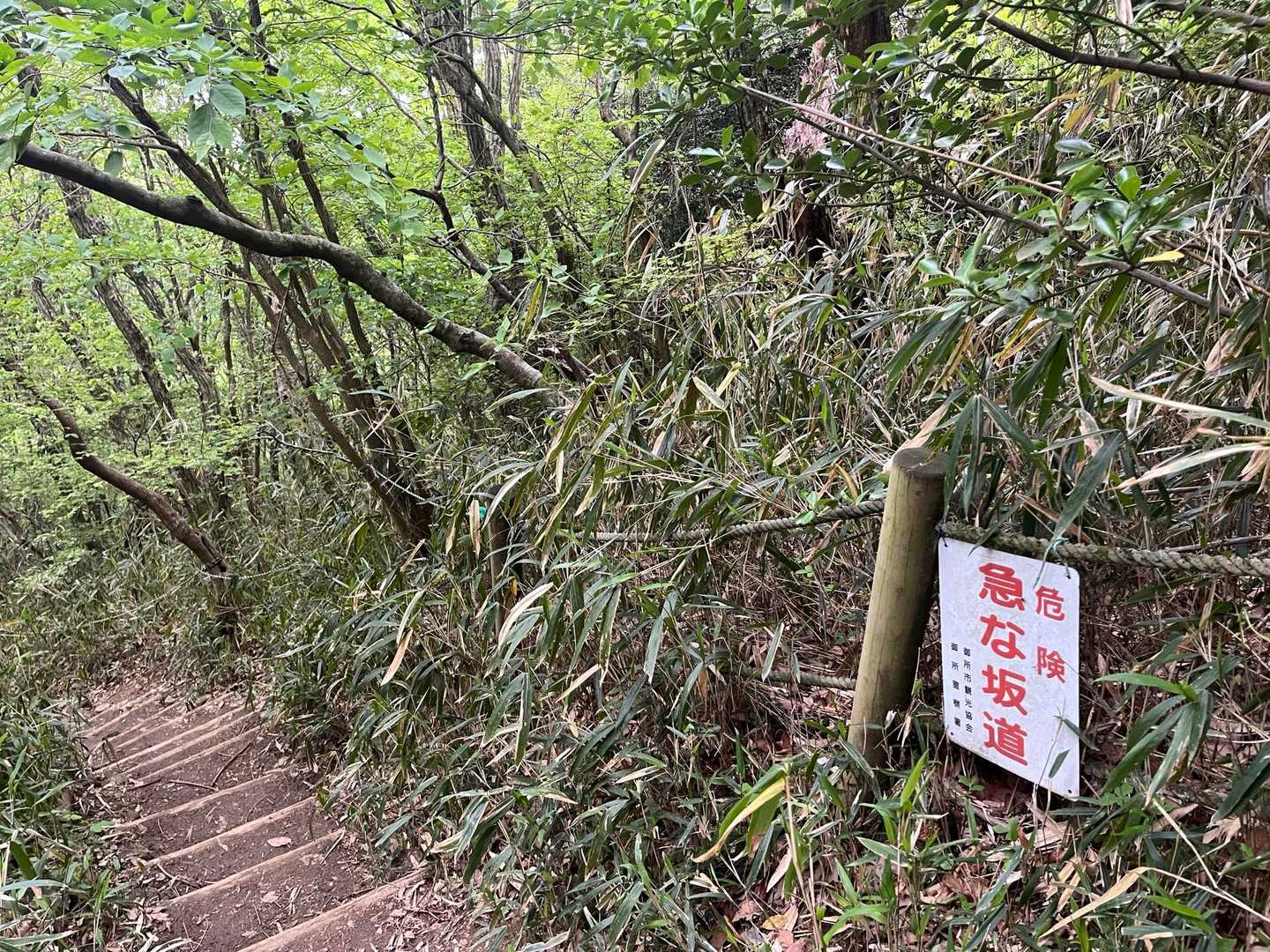 プレート通り急坂でした。
出会う人みんな階段急ですよねって。
みんな思うことが同じ😊