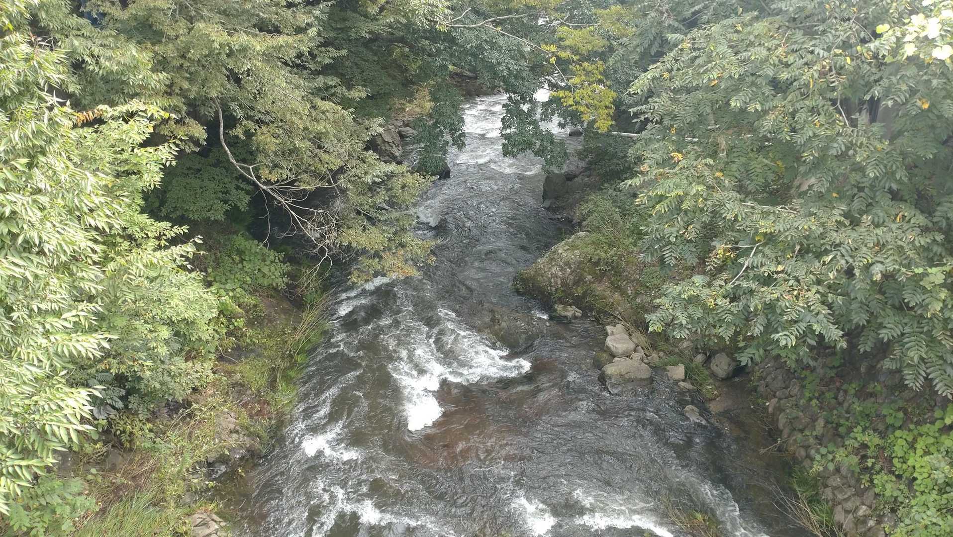 台風の影響か水量が多く、見ていると吸い込まれそう。
下山後は、近くの五峰の湯で汗を流しました。
￥500と安いですね。
ぬるっとしたお湯も気持ちよく、近くに来た時はまた立ち寄りたいです。

最後まで見てくださって、ありがとうございます。