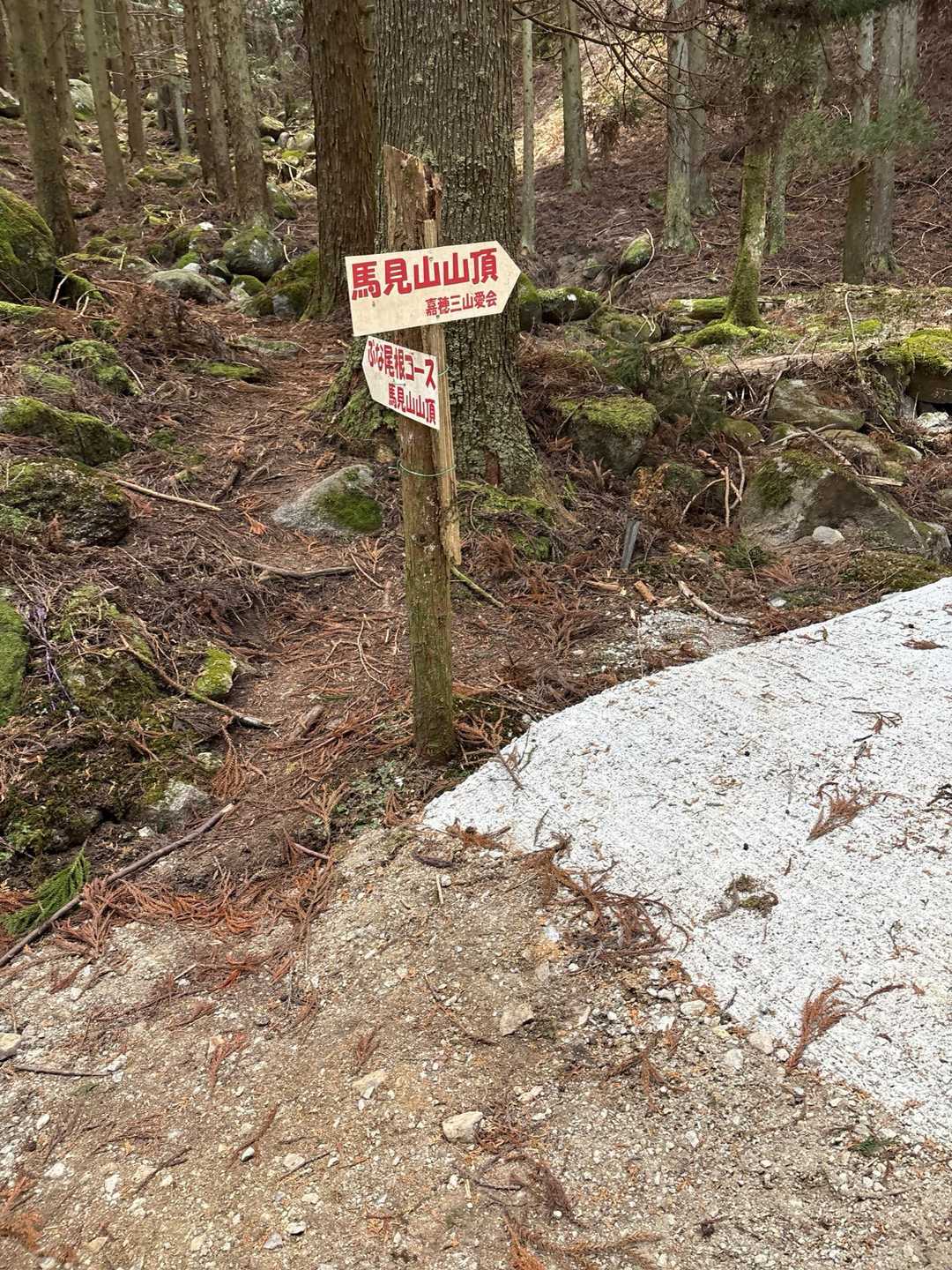 逢拝所登山口-馬見山 往復コースの写真