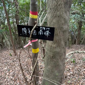 18.障子ケ岳南峰登頂⛰️