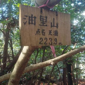 山名プレート❗️