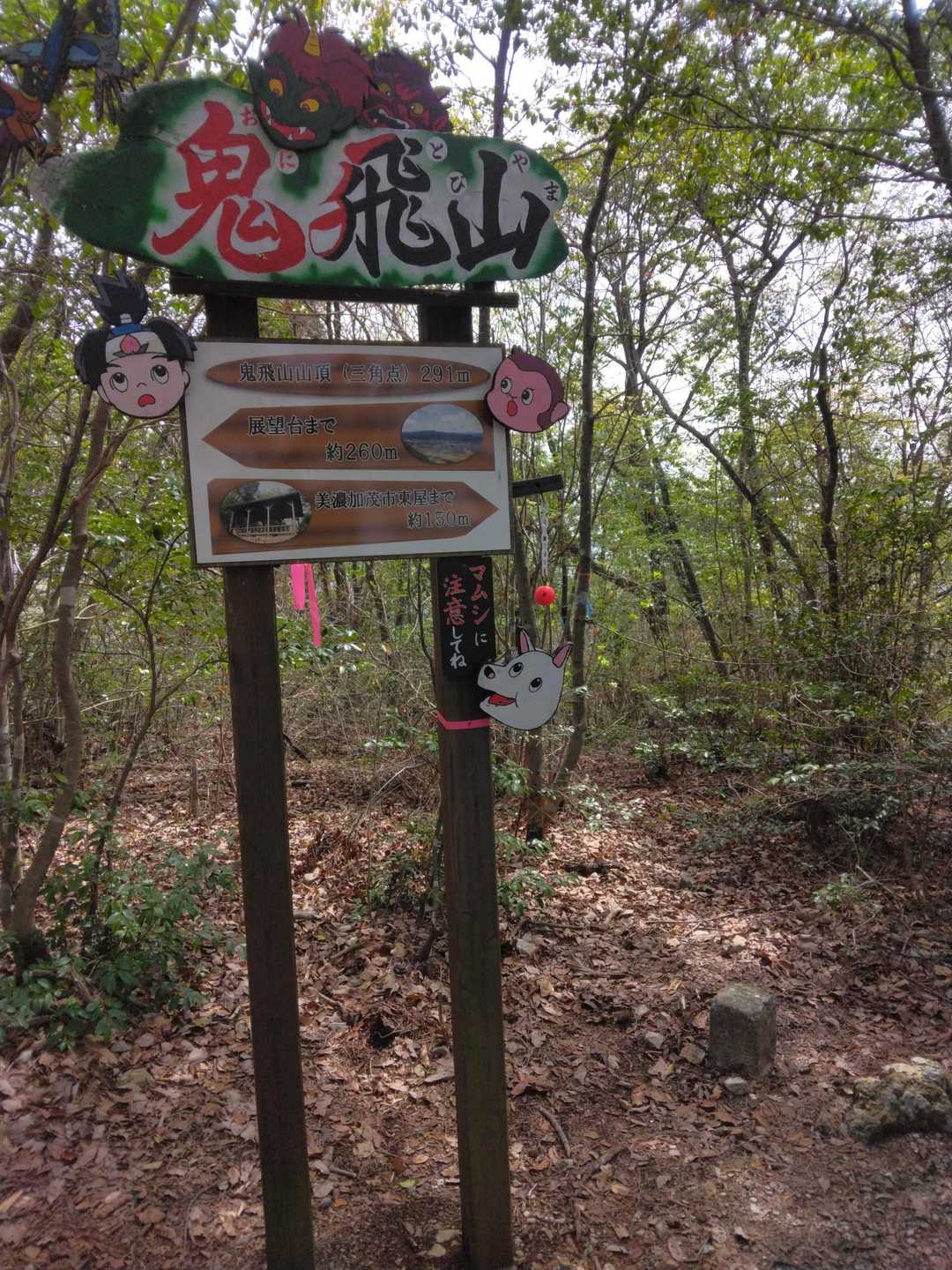 鬼飛山山頂到着‥👍