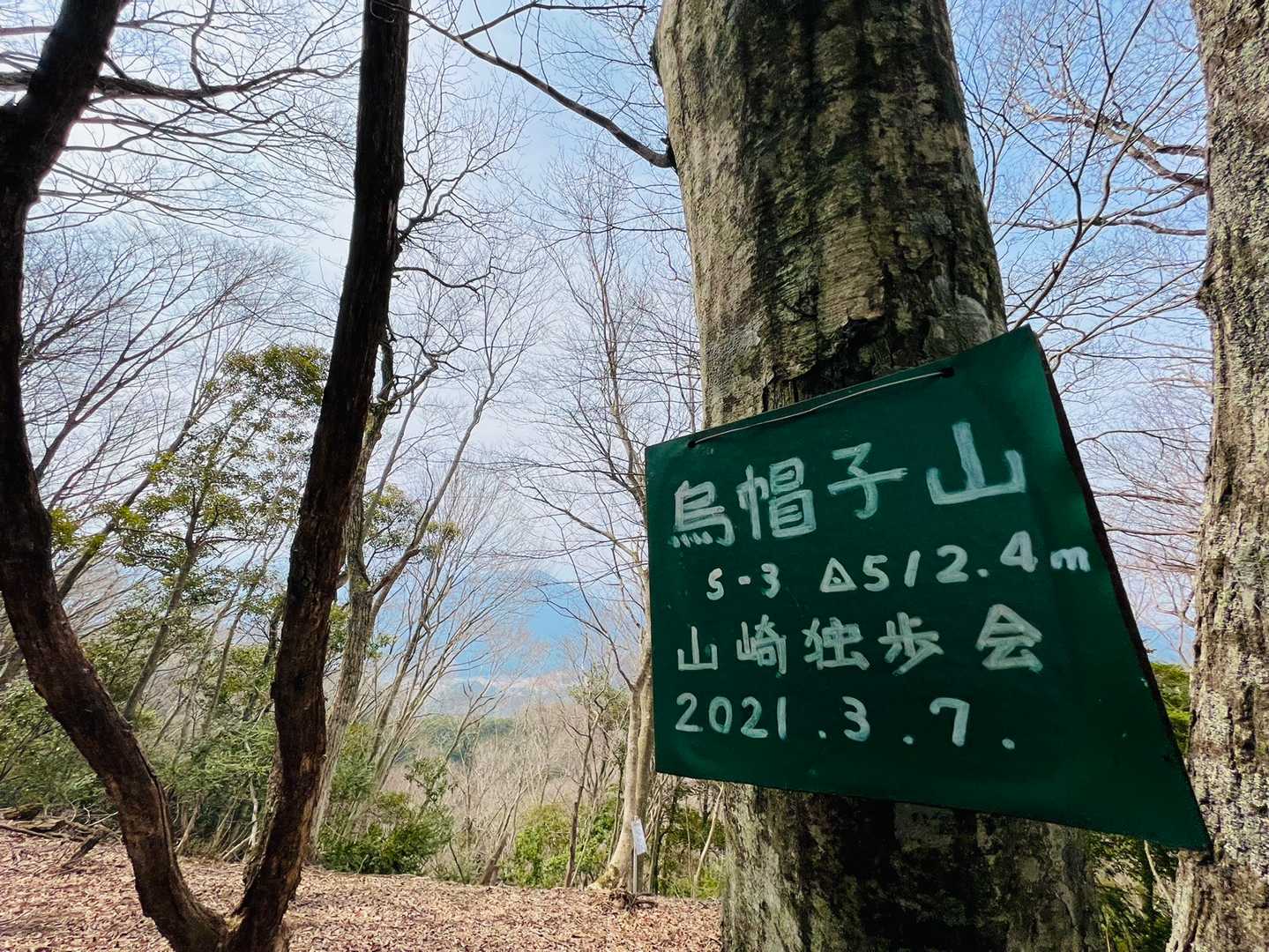 山頂⛰
三角点は無いみたい🥺景色も木の隙間から😁