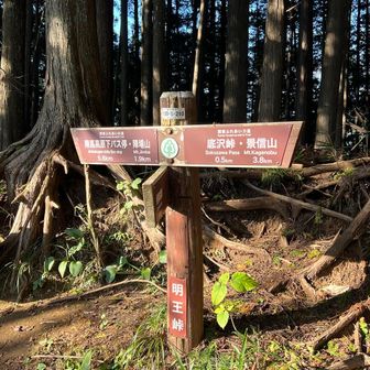 明王峠に到着