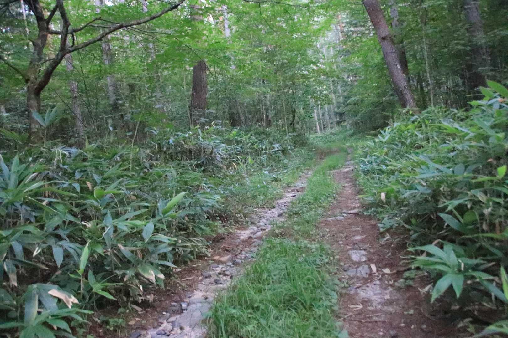 餓鬼岳登山口から歩き出し📷