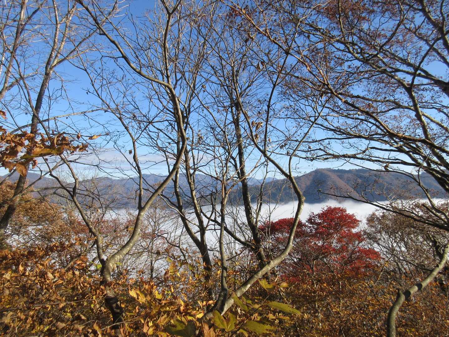 木が邪魔や〜😣

雲海が綺麗やった😍