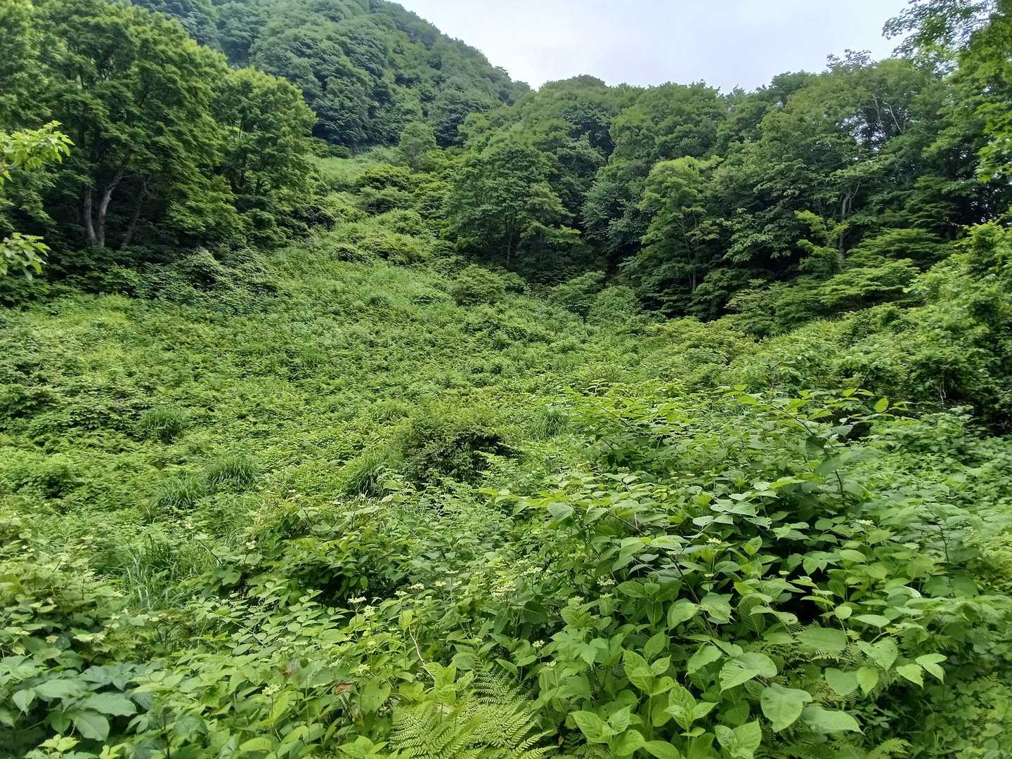 こんなにモサモサになりました😅