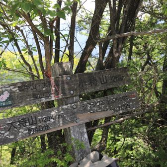 小持山も展望無し。電波無し。