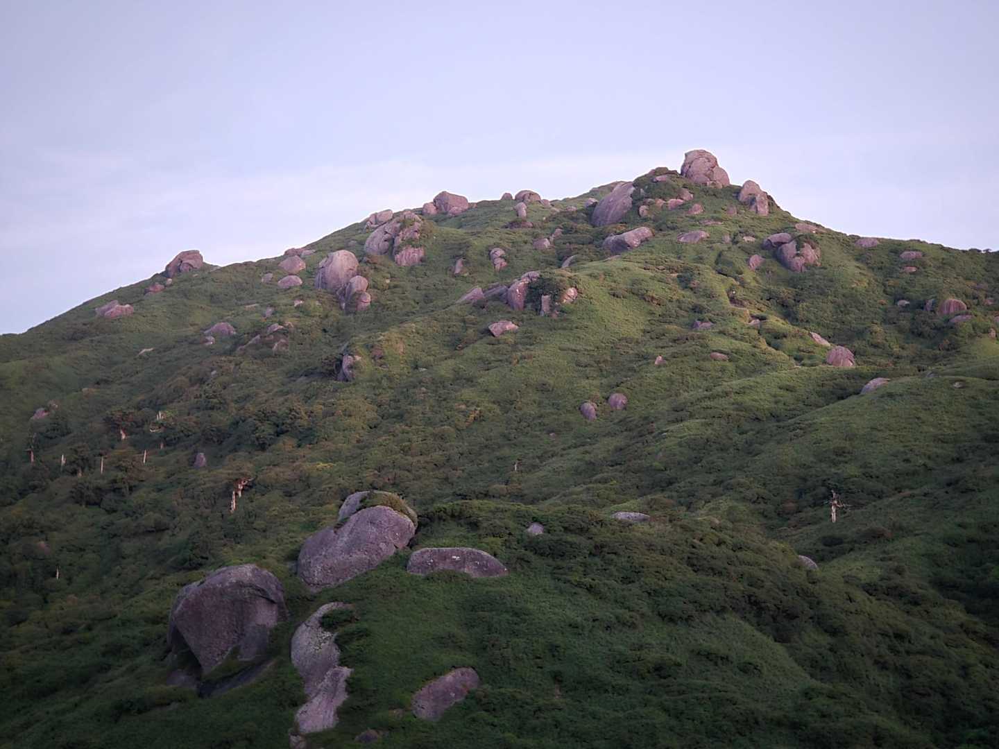 淀川入口-宮之浦岳-縄文杉-ウィルソン株-荒川登山口 縦走コースの写真