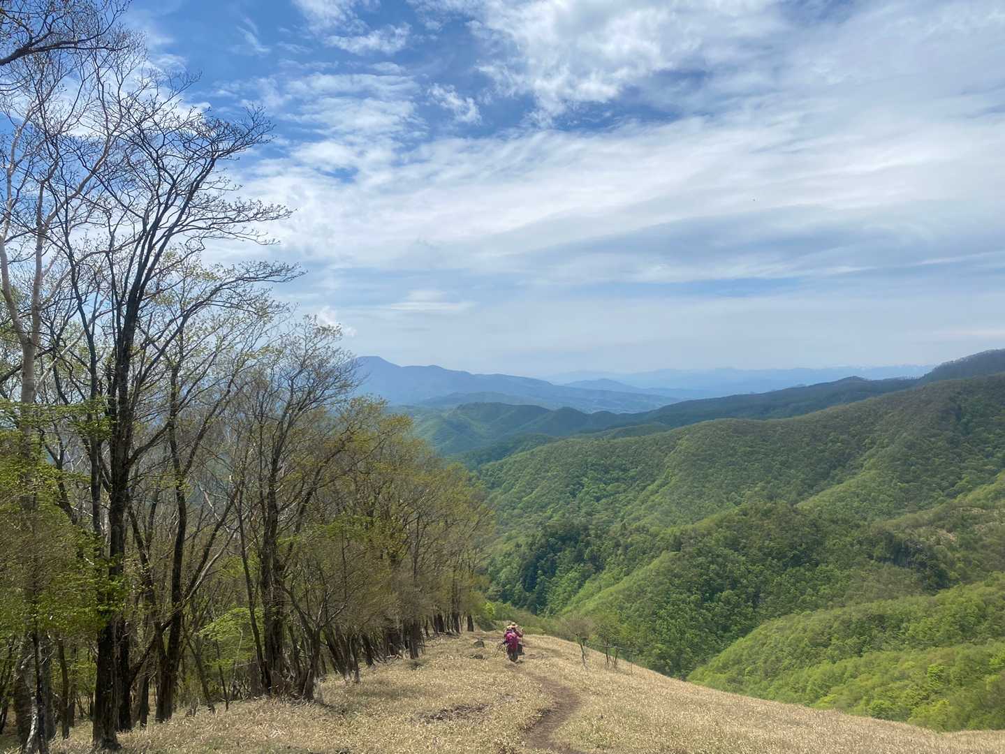 折場登山口-小丸山 往復コースの写真