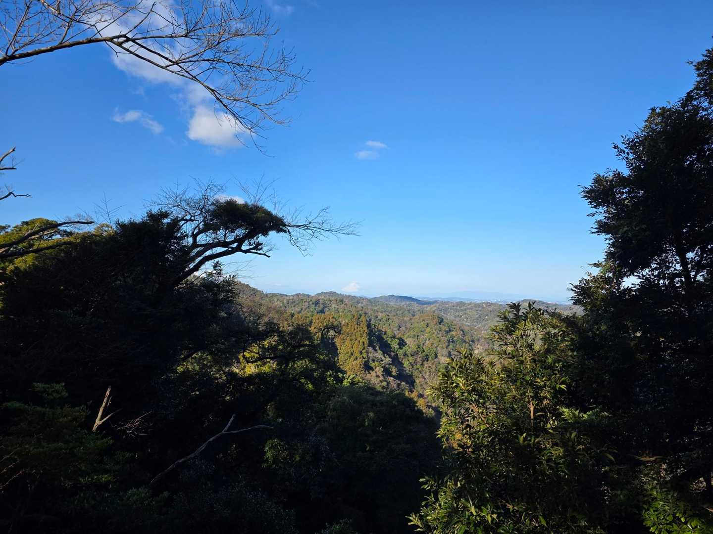 眺望の良い開けた場所に出ました！富士山も見える！