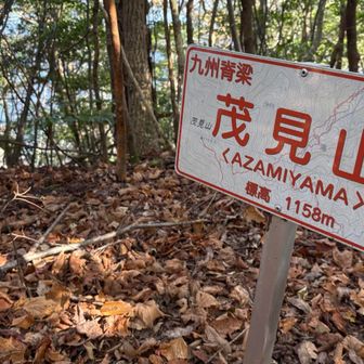 よ、読めん…あざみ⁉️