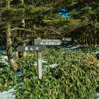 台が森までの
雪のトラバースが憂鬱です🥹