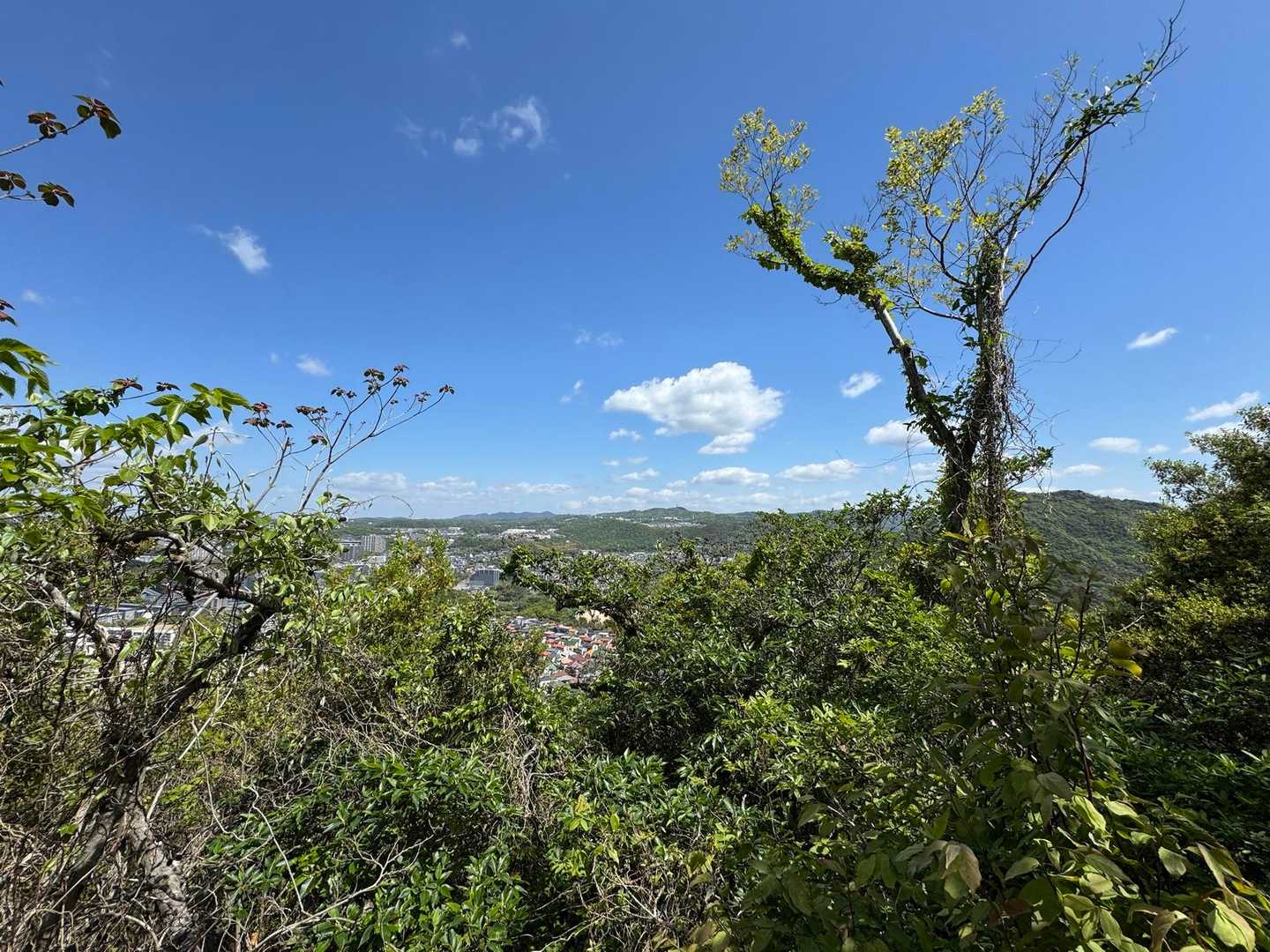 少し登ると気持ちのいい青空😍