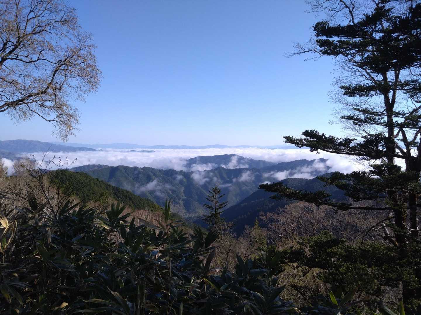 位山-川上岳 周回コースの写真