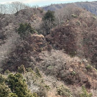 来た道！三ノ塔の山荘が見える
あとは道中ですれ違う時に少し話した方たちが写ってる！面白い人たちだった、お友だちと登るのって素敵だな〜