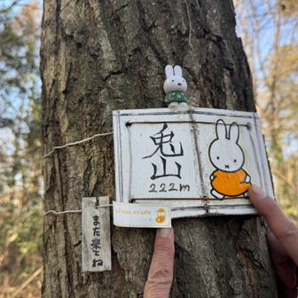 これこれ!これが見たかったんだよ。
ミッフィちゃん。また来てねだって🥰
兎山タッチ👆👆