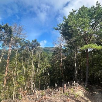 5合目からの頂上⛰️