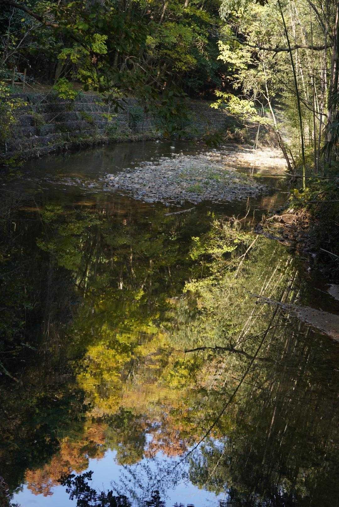 川面に映る