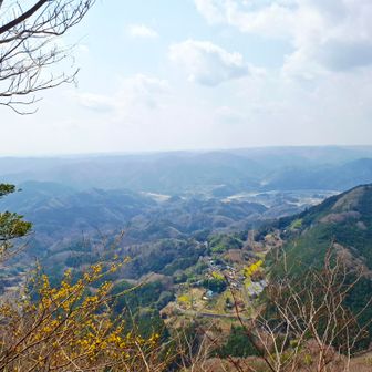 わ～チラッとビタミンカラー素敵💛