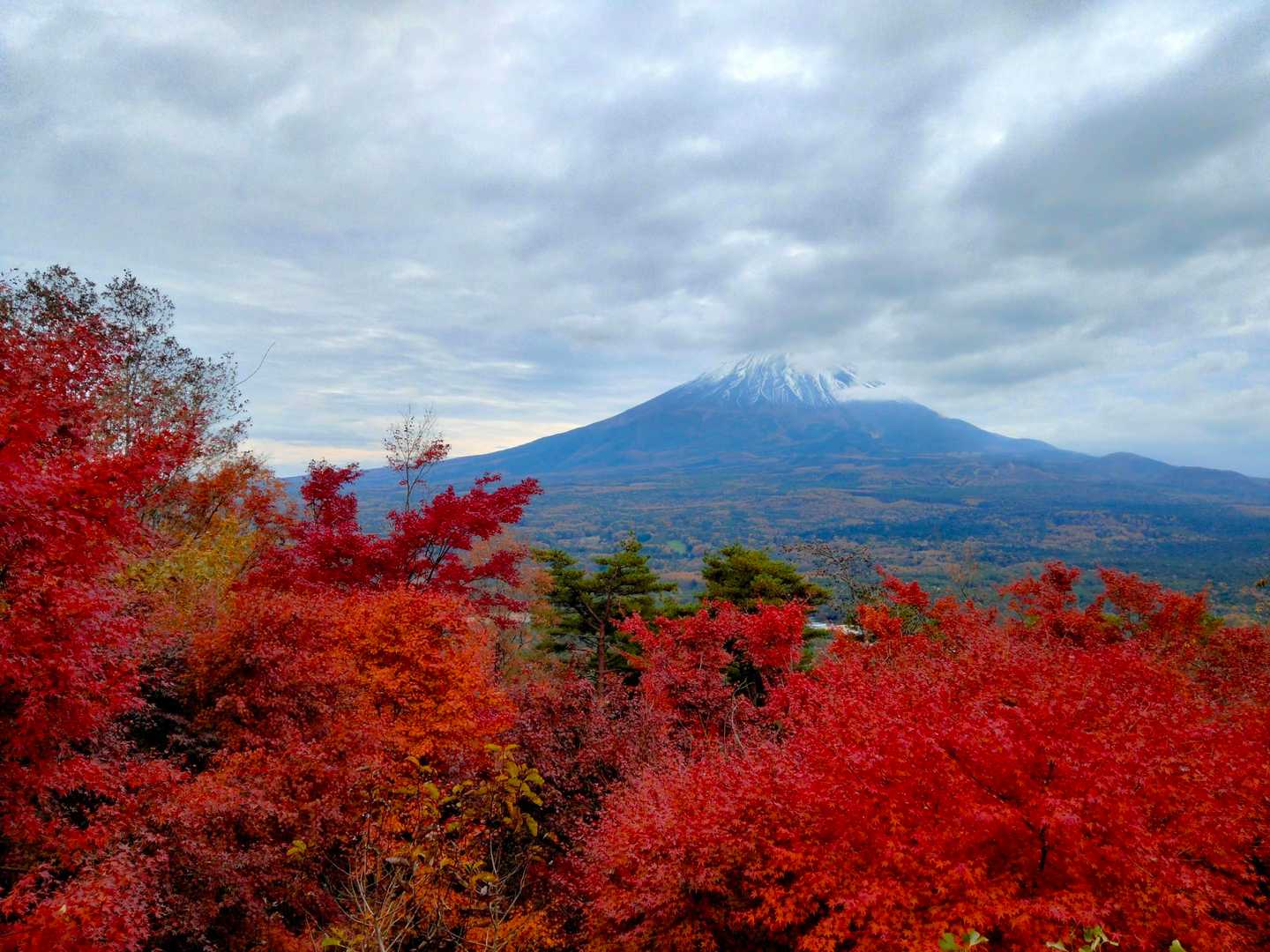 三湖台 往復コースの写真