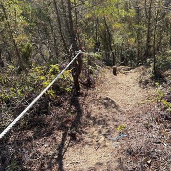 新設されてる名付けてタロープ！