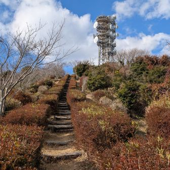 電波塔まで真っ直ぐ続く階段
微妙に登りにくい