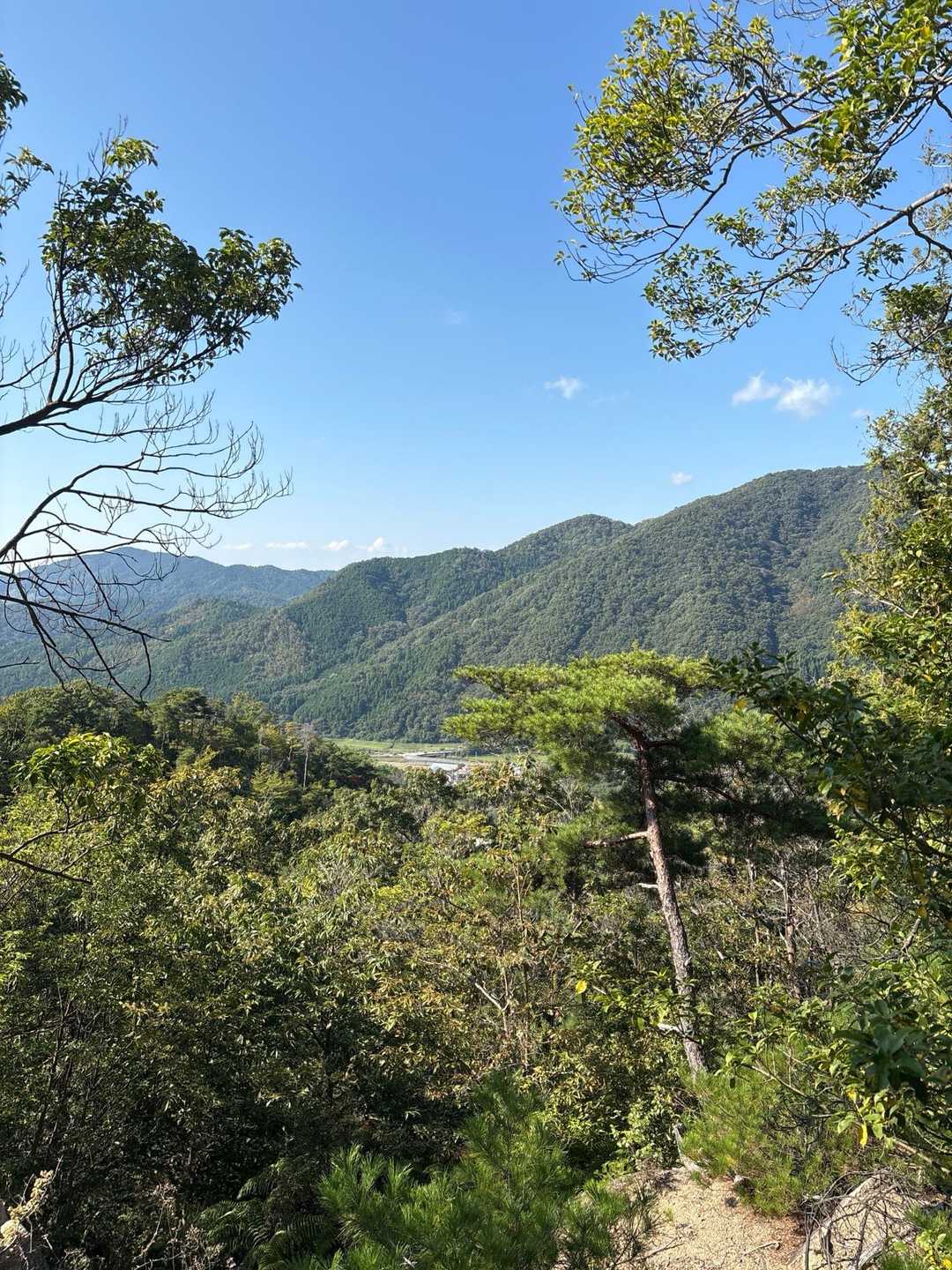 剣尾山・横尾山・行者山 縦走ルートの写真