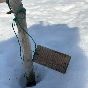 ここに奥獅子吼山って書いてあるんかな