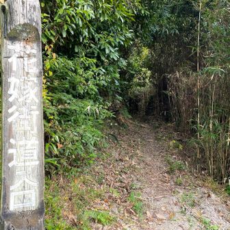 ここから登山道に入る