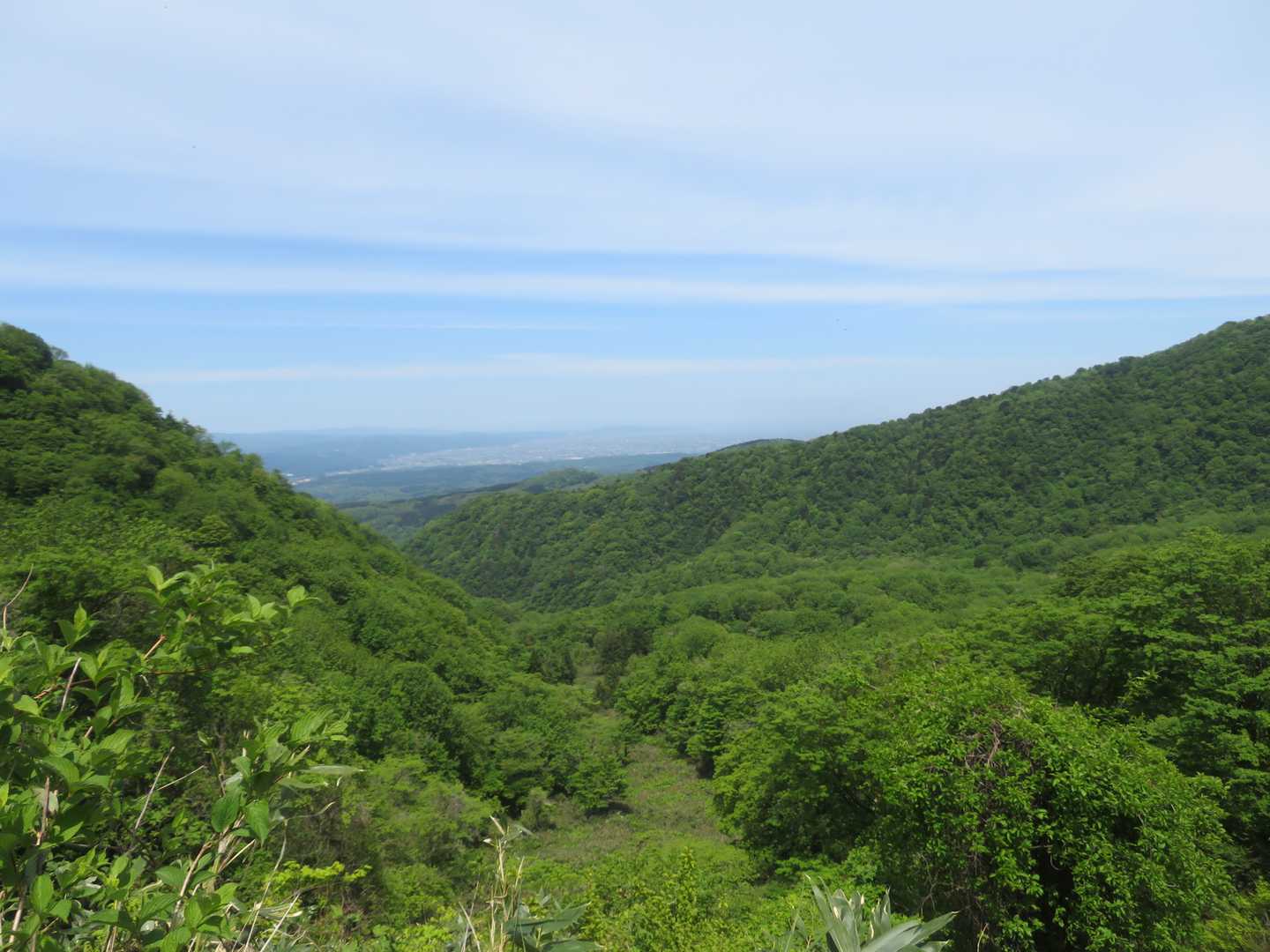 サンカヨウの前のView