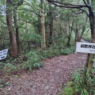 302の堂山からの304こと北嶺目指して
いざ出発
