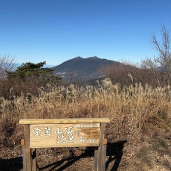宝篋(ｺﾋﾟﾍﾟ)ﾌﾞﾙｰも鮮やかｳﾞｲｸﾄﾘｰ！w