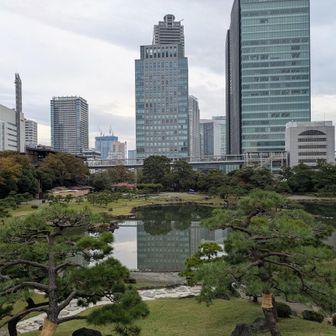 コンパクトに楽しめる庭園でした🌿